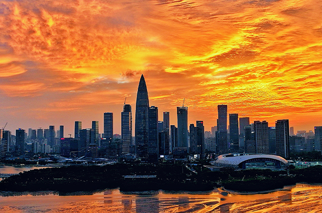 20241209111130_265419